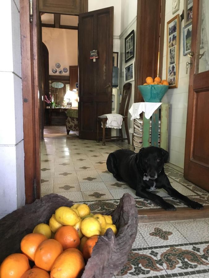 Bed and Breakfast Casa Ruchi 1893 Тигре Екстер'єр фото